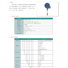 BPW600ϵһ廯¶ȱͿ