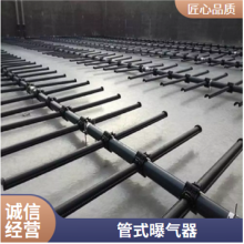 美国SSI膜片式微孔曝气管 AFT21000-E可提升式管式曝气器