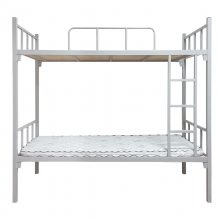 ����˫�˸ߵʹ� ѧ�����ṫԢ�� �Ӻ�ӹ����´�Ա�����ܴ�