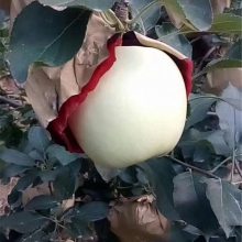 콫ƻ콫ƻʩʼ