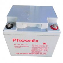 Phoenix KB12240 12V24AHǦά UPSԴ ֱ