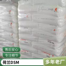 PA6 荷兰DSM 1040A