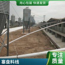 自动化猪用料线 母猪定量杯料线 全自动赛盘链条式喂料系统 河南诚友畜牧机械