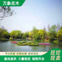 �нӸ���ˮ��ֲ��ӵ��̻���ˮֲ����̬���������̻�����