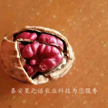 ***缼
