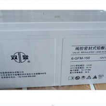 ˫ܱʽ 6-GFM-150(C20) 12V150AH