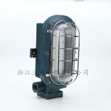 支架灯DGC18/127L