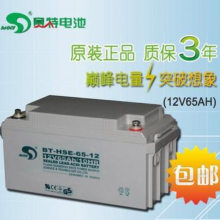 12V65AH UPSԴ籣