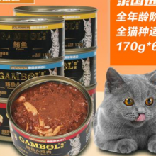 Ϻڱ  عӦ
