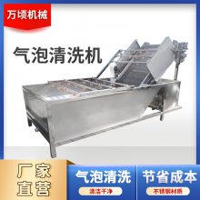 大型不锈钢樱桃清洗机 全自动气泡清洗设备 供应果蔬加工机