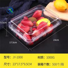 塑料果蔬盒 PET一次性西点盒 透明塑料水果托盘 河北祥庆