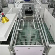 母猪产床猪产床复合板限位栏定位栏保育一体两用床养殖设备分娩床