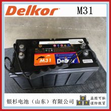 DelkorM24豸 г12V-82AH/520CCA