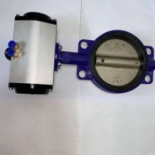 DN150ԼʽˮƷ