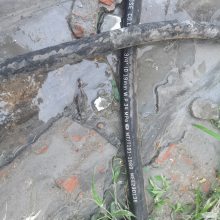 μϵػӹ ػע ע ³ӹ