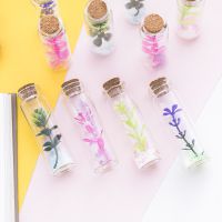 创意木塞玻璃瓶 薰衣草迷你漂流瓶许愿瓶 创意家居幸运瓶子