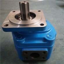 W-01-00103齿轮泵 常林ZL50E装载机齿轮泵 YHP3100齿轮泵