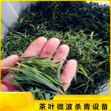 茶叶杀青设备 茶叶微波光波杀青机