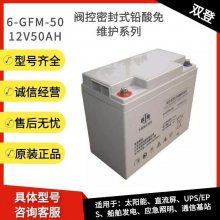 ˫6-GFM-40 12V40AHǦάӦԴֱ