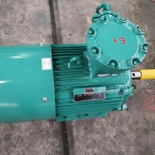 ļú͵YBK3-355M2-4-250KWõ綯