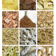 ľƬɻ ľɻ Ǻɻ Ǻɻ