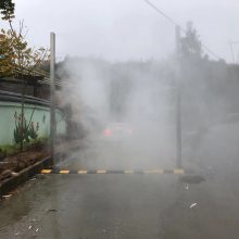 Զ豸