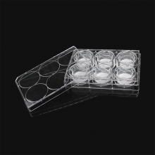 LABSELECT 14151 细胞培养小室，含6孔板（PC膜，24mm，孔径1.0um)