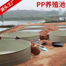 加工定制方形防腐pp酸洗槽 聚丙烯塑料水槽 焊接pp板水箱养殖池