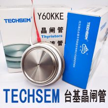 TECHSEM Y60KKE KK1500A1600V1800V KK1500A2200V台基可控硅晶闸管