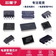 STM32F407ZGT6 ΢ MCUƬ STⷨ 32BIT