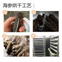 海产品烘干机 箱式空气能海参烘干机 多功能海参烘干机