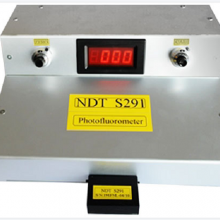 NDT ITALIANAS291ӫȼ