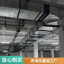  巨 ߴ綨͸²ֶпͨܵ