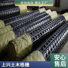 河北上兴高强抗拉单向土工格栅 路面抗裂用黑色施工简单