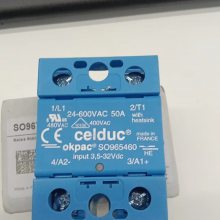 SSC05306¼̵CELDUC