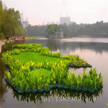 ˮ����ֲ���� �˹�ʪ����̬����Ư���� �����˸���ˮ��ֲ�︡��