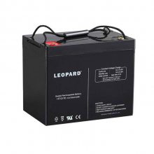 LEOPARDޱHTS12-5***H 12V5***Hܷⷧʽ