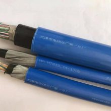 ͨϵͳù㲥  WDZR-RYYP-2*2.5mm