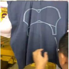 亿宝莱5060无痕内衣内裤丝印机双跑台带吸气果冻胶水印刷机