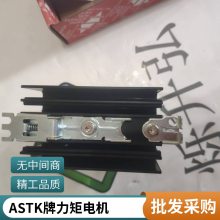 烁升弘供应ASTK10W力矩电机型号:4TK10A-CF,4TK10A-C,4TK10GN-C