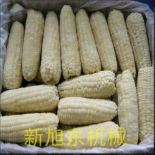 ʳƷٶ ٶ豸 ȫԶʽٶ