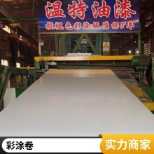 彩涂板 高耐候TDC51D AZ彩钢卷 定制屋面彩钢瓦 颜色任选