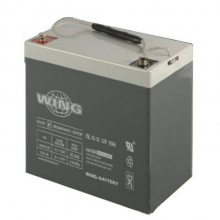 ¹WINGES2.3-12 12V2.3AHӦԴ UPSϵԴ