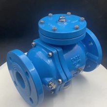 DSBP741X-16P ĤƬֹ DN150 Ӧ仯