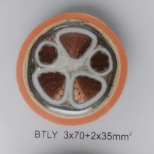 ӦBTLY3*70+2*35mm2Կ£㶫˫BTLY£0.6/1KV