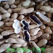 ڻŻݼ ѡ