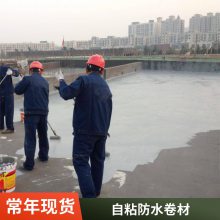液体卷材 火烤SBS防水卷材 广东防水涂料厂家 高弹性防水材料批发