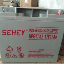 SEHEY SH38-12 Ǧά12V38AH  UPS EPS ֱ