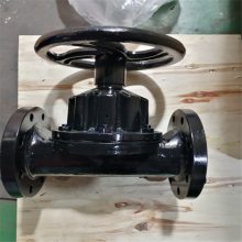 G46J -6P 304ĽֶĤ ĤֶĽĤG46J-6P DN400ֱͨʽĽĤ