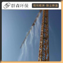 40米塔吊喷淋高层建设港结构建筑工程用建筑塔式起重机